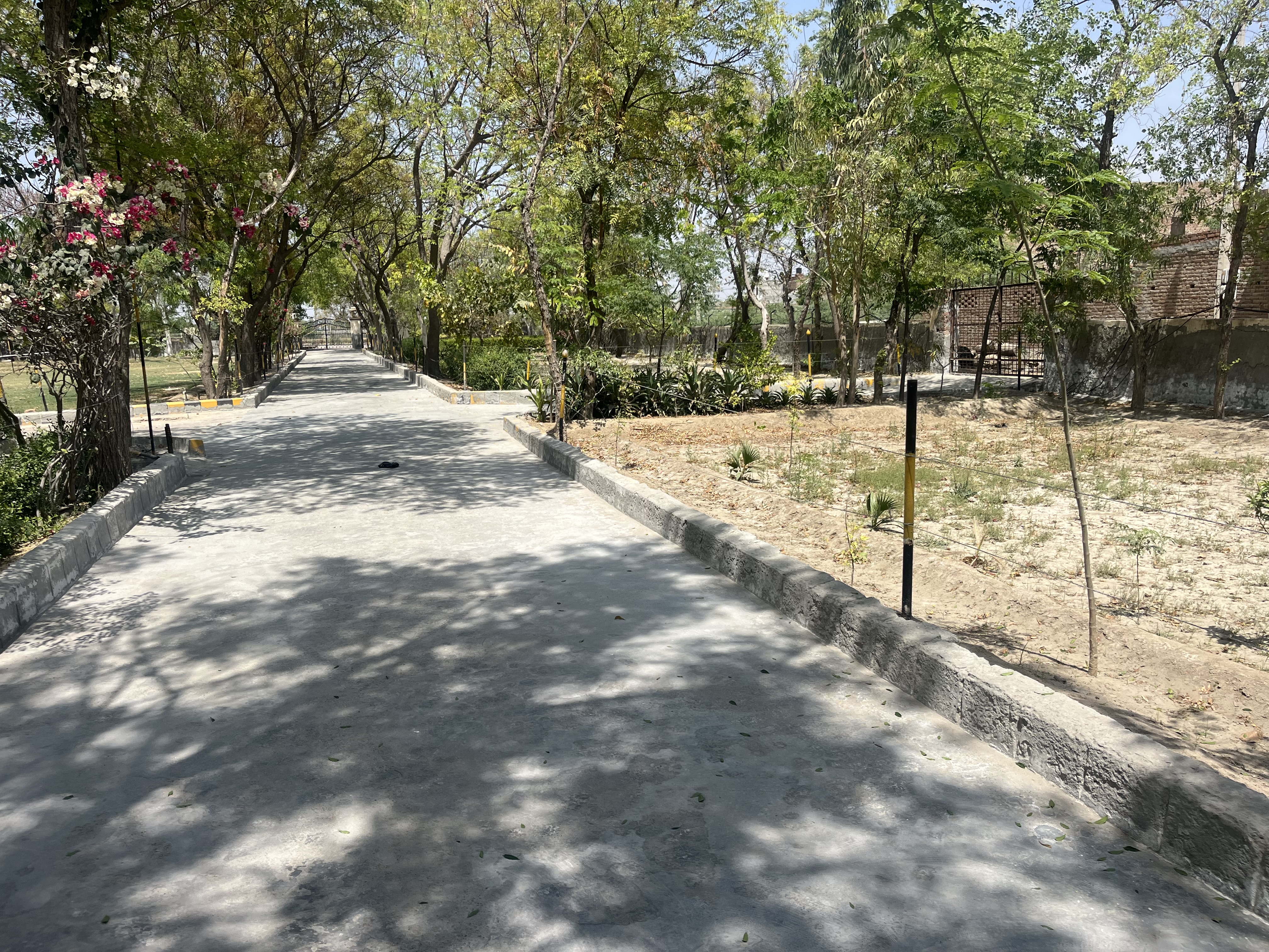 Sports Ground